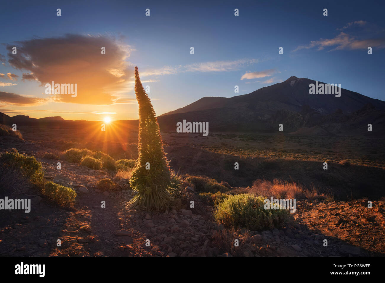 Spanien, Kanarische Inseln, Teneriffa, Teide Nationalpark bei Sonnenuntergang Stockfoto