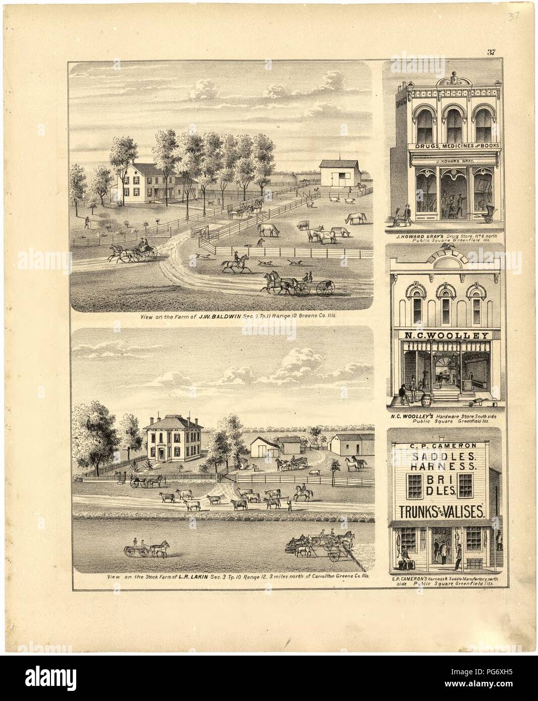 Atlas Karte von Greene County, Illinois Stockfoto