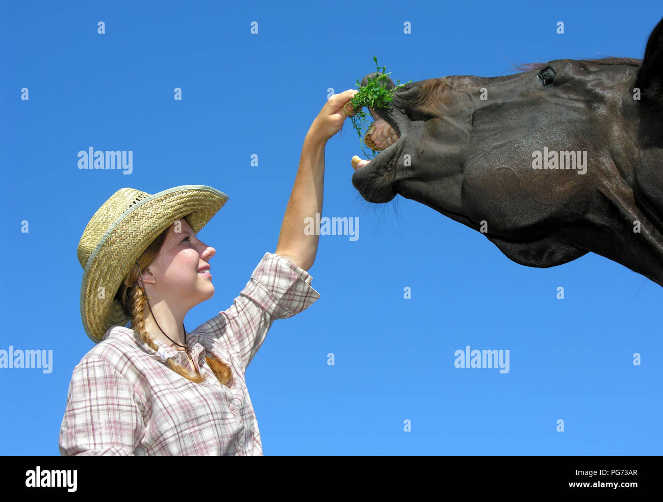 Junge cowgirl Fütterung Pferd in der Farm, auf blauen Himmel Hintergrund, Low Angle View Stockfoto