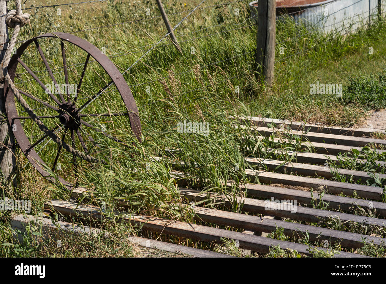 Rinder Ranch Wachmann am Eingang in den ländlichen Montana, USA Stockfoto