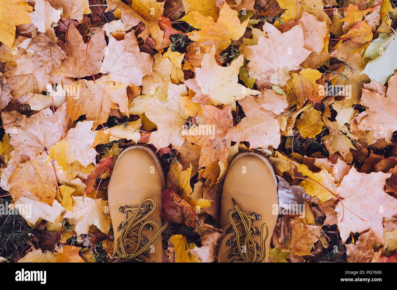 Casual Unisex Stiefel mit Herbst Laub. Herbst Herbst Szene. Konzeptionelle Bild der Beine in Stiefel und Jeans auf der Blätter im Herbst. Lifestyle Mode Stockfoto
