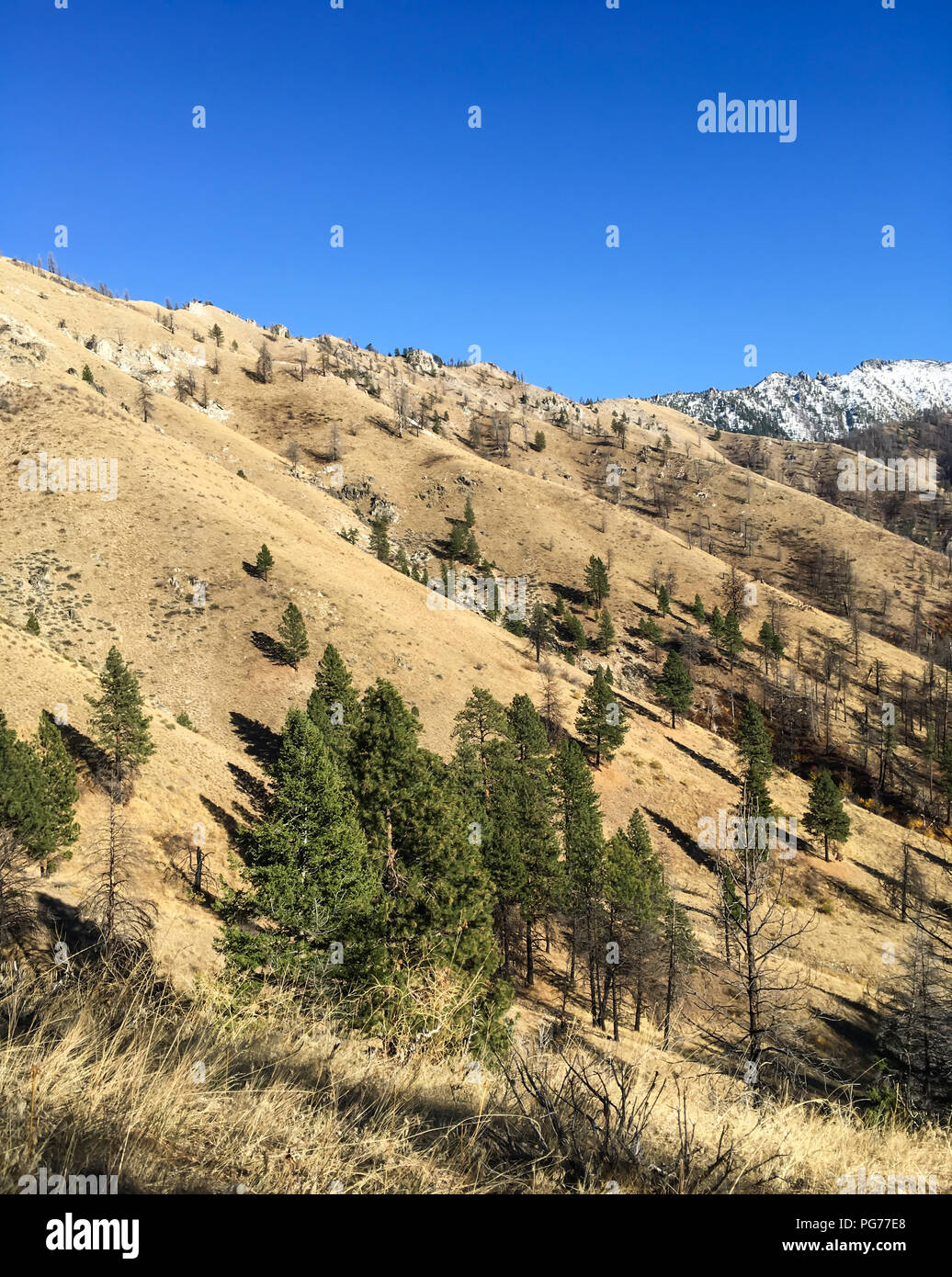Malerische Sägezahn Mountain Range, Idaho, USA. Reiseziel für robuste campen, wandern oder Sport Jagd. Stockfoto