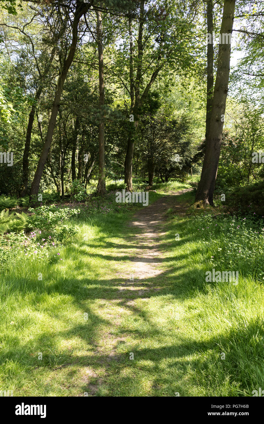 Parcevall Hall & Gardens, an Skyreholme in Bösingen, Yorkshire Dales, Großbritannien Stockfoto