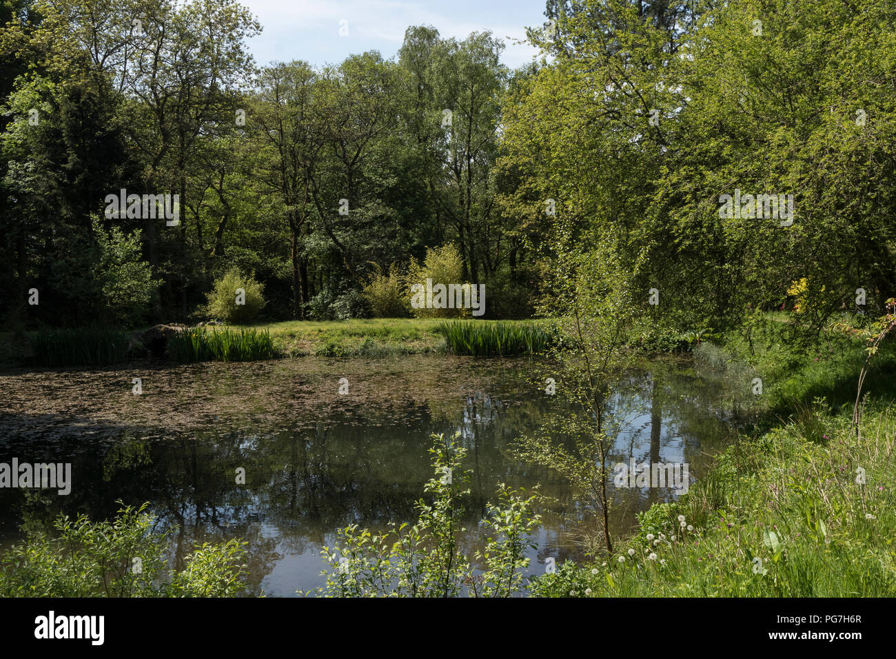 Parcevall Hall & Gardens, an Skyreholme in Bösingen, Yorkshire Dales, Großbritannien Stockfoto