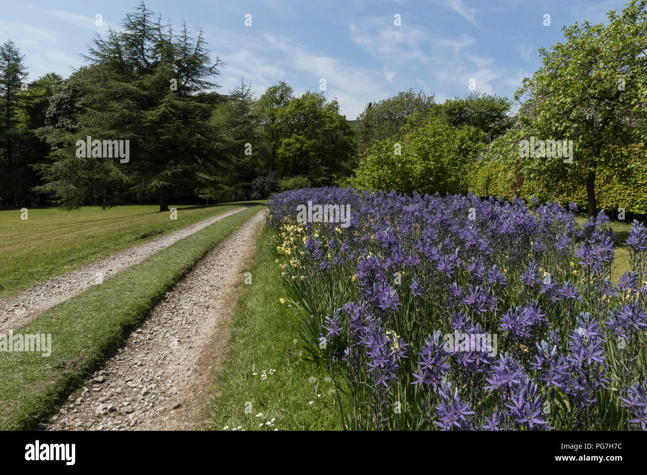 Parcevall Hall & Gardens, an Skyreholme in Bösingen, Yorkshire Dales, Großbritannien Stockfoto