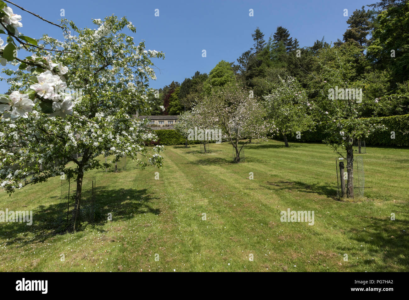 Parcevall Hall & Gardens, an Skyreholme in Bösingen, Yorkshire Dales, Großbritannien Stockfoto