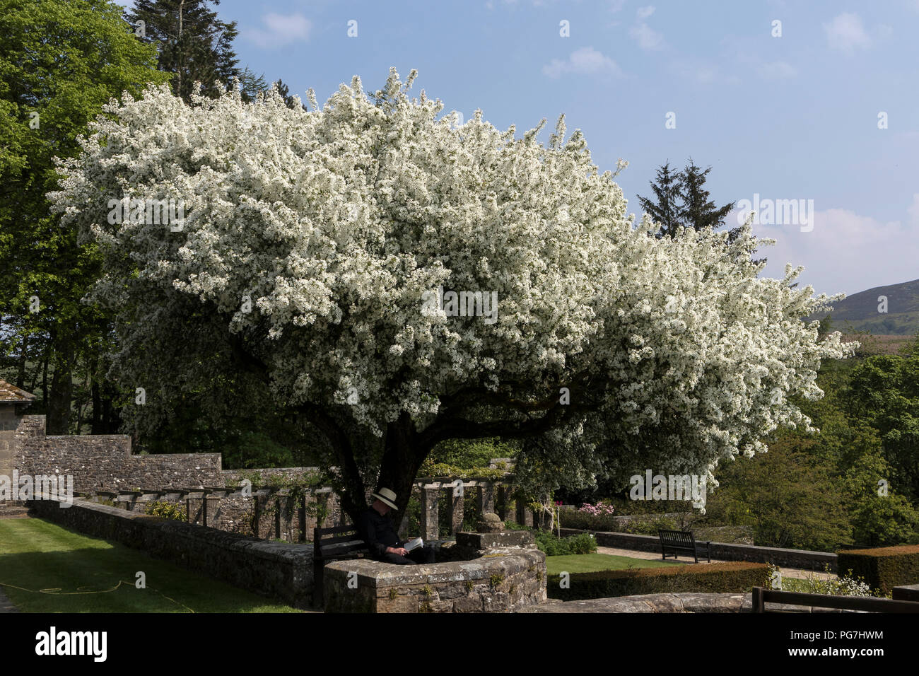 Parcevall Hall & Gardens, an Skyreholme in Bösingen, Yorkshire Dales, Großbritannien Stockfoto