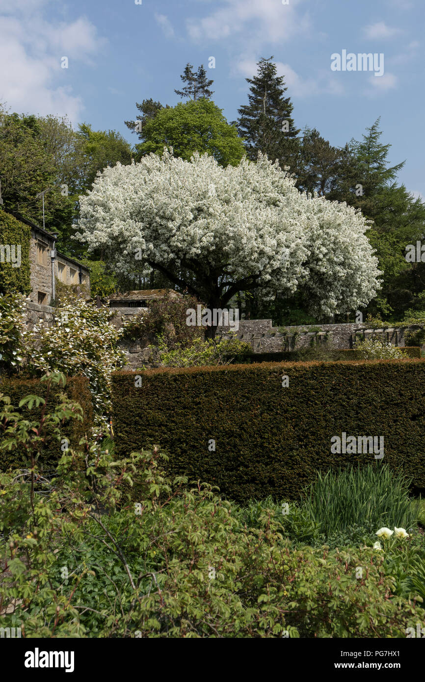 Parcevall Hall & Gardens, an Skyreholme in Bösingen, Yorkshire Dales, Großbritannien Stockfoto