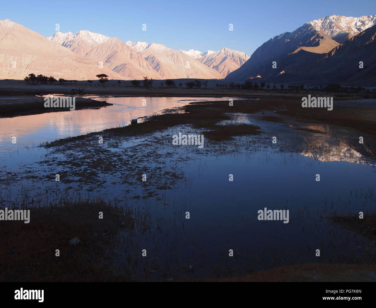 Sanddünen im Erdgeschoss des Nubra Valley, Ladakh, zwischen dem Himalaja und Karakorum reicht Stockfoto
