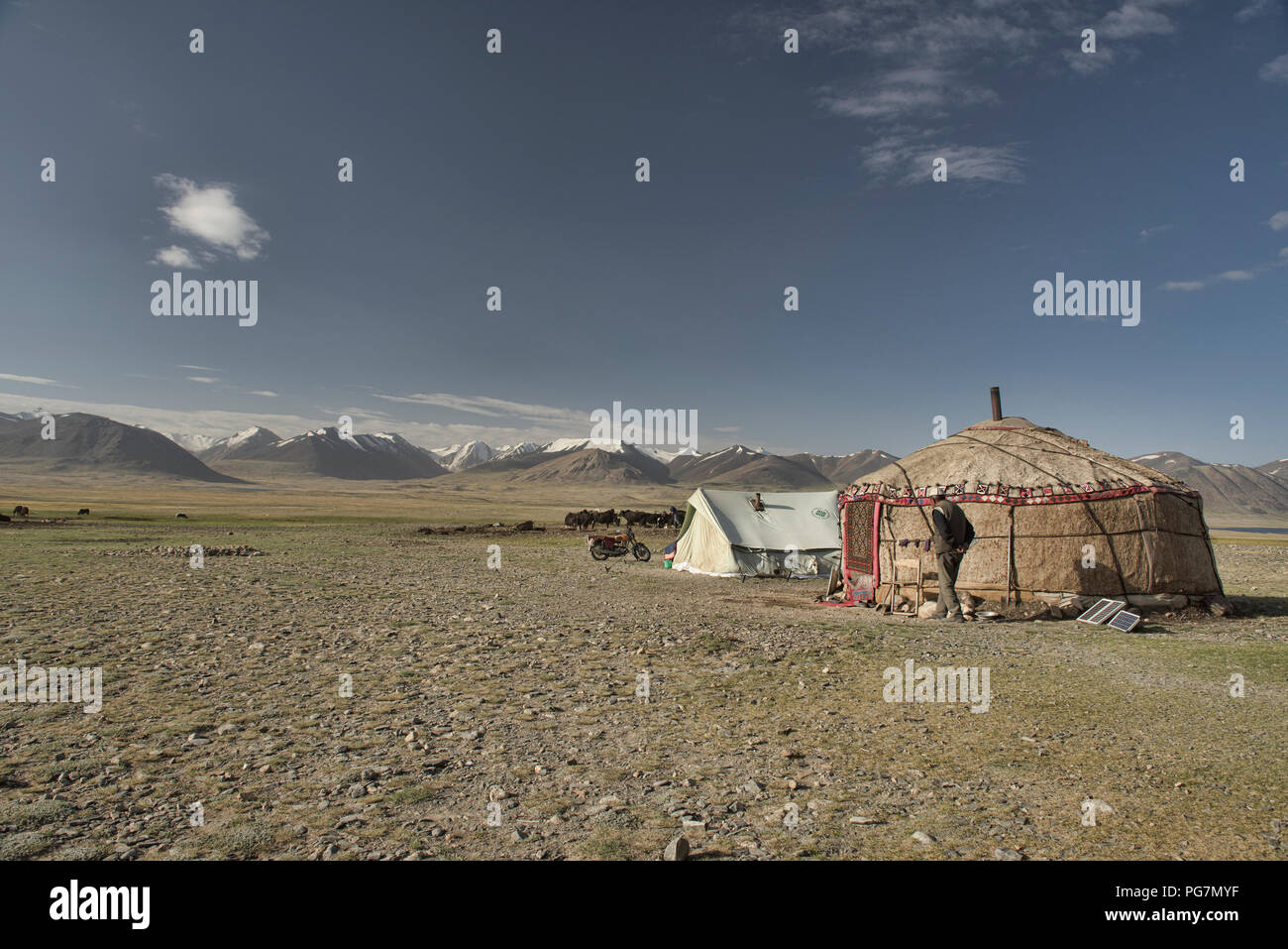 Kirgisische jurtencamp vor dem Afghanischen Große Reichweite, Kara Jilga Pamir, Tadschikistan Stockfoto