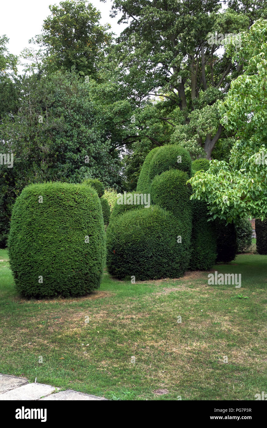 Country House Garden Topiary. Mehrjähriger Pflanzen in Formen geschnitten Stockfoto