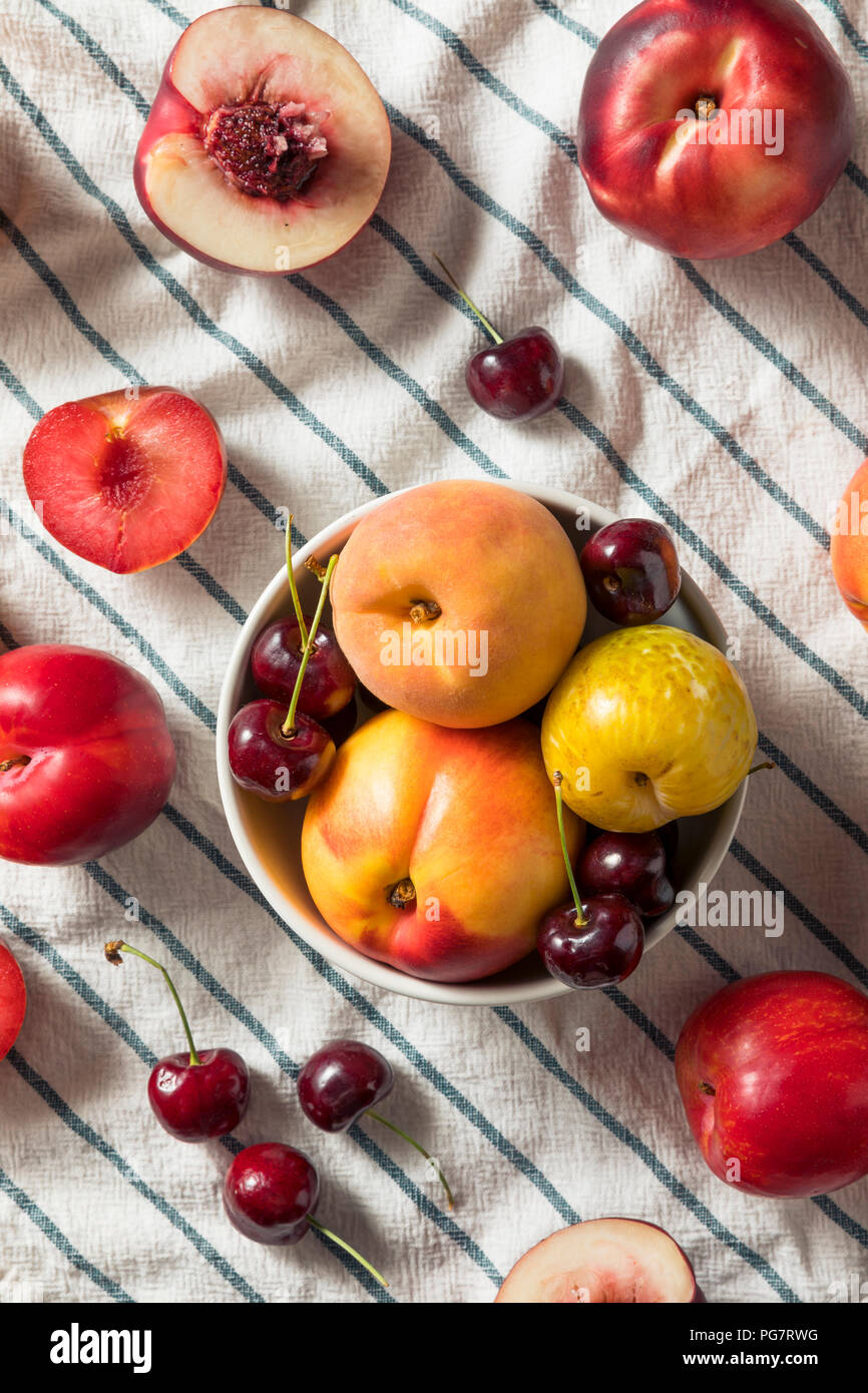 Raw Organic sortierten Stonefruit Pfirsiche Pflaumen, Nektarinen und Brugnolen Stockfoto