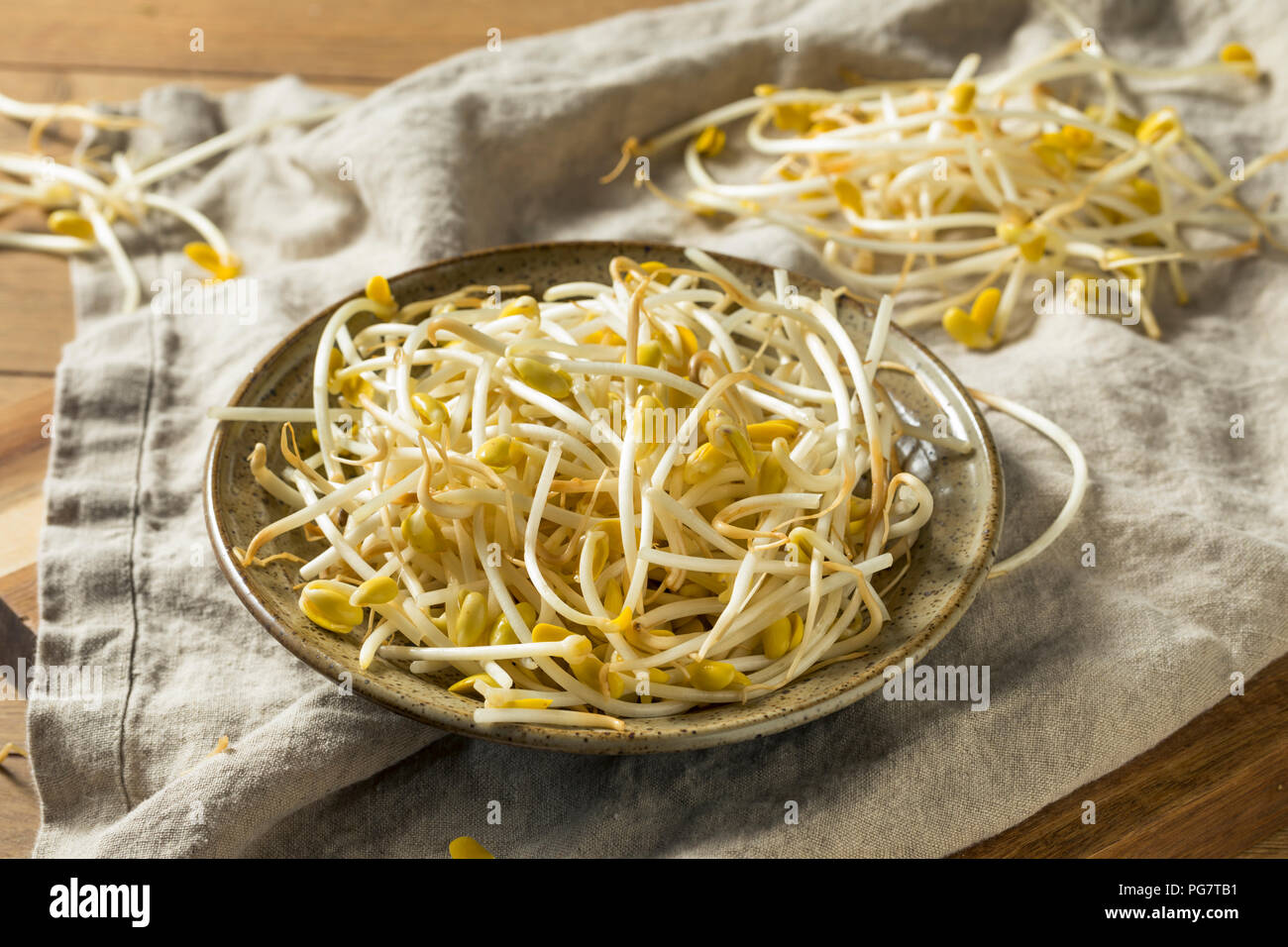 Raw Organic Soy Sojasprossen in eine Schüssel geben. Stockfoto