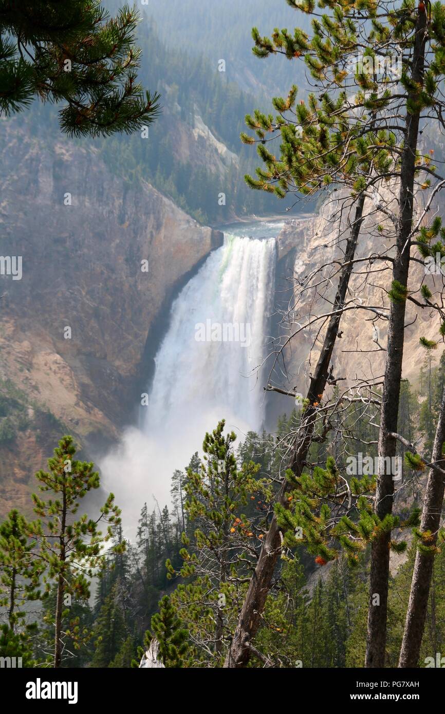 Die oberen fällt in der Grand Canyon im Yellowstone, Yellowstone National Park, Wyoming. Stockfoto