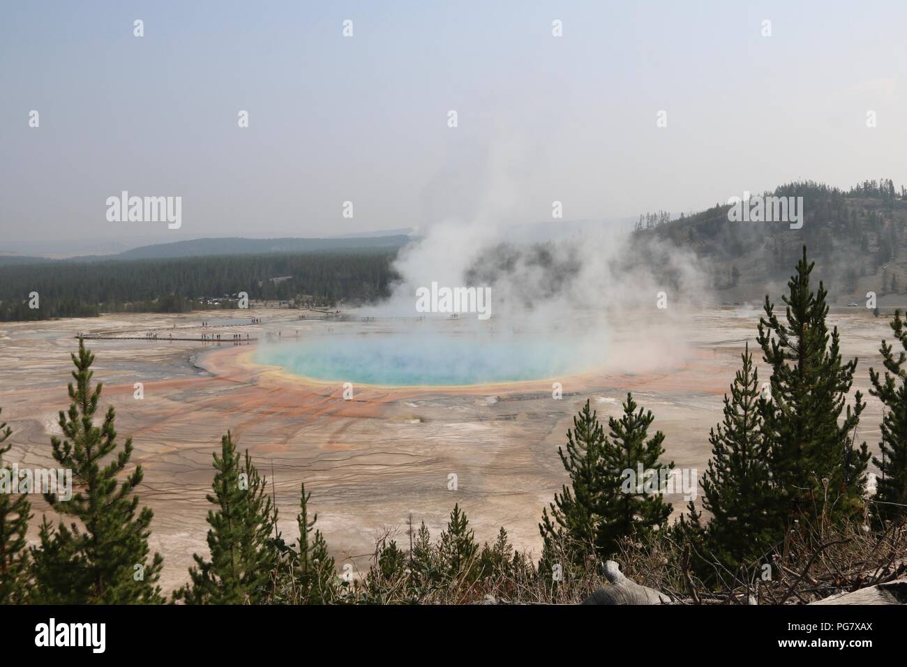 Grand Prismatic Spring am Midway Geyser Basin, Yellowstone National Park Stockfoto