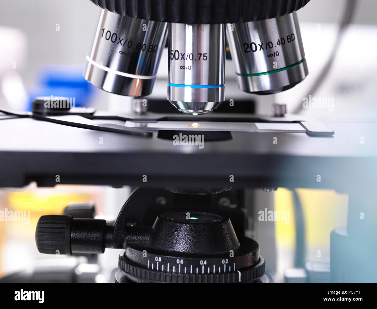 Die biomedizinische Forschung, Nahaufnahme von einem Glas Folie Holding ein Muster des menschlichen Gewebes, Mikroskop Stockfoto