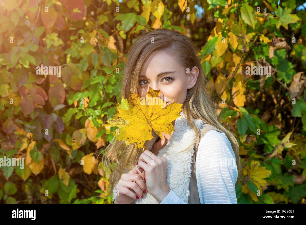 Portrait von Frau mit gelben Herbst Blatt Stockfoto