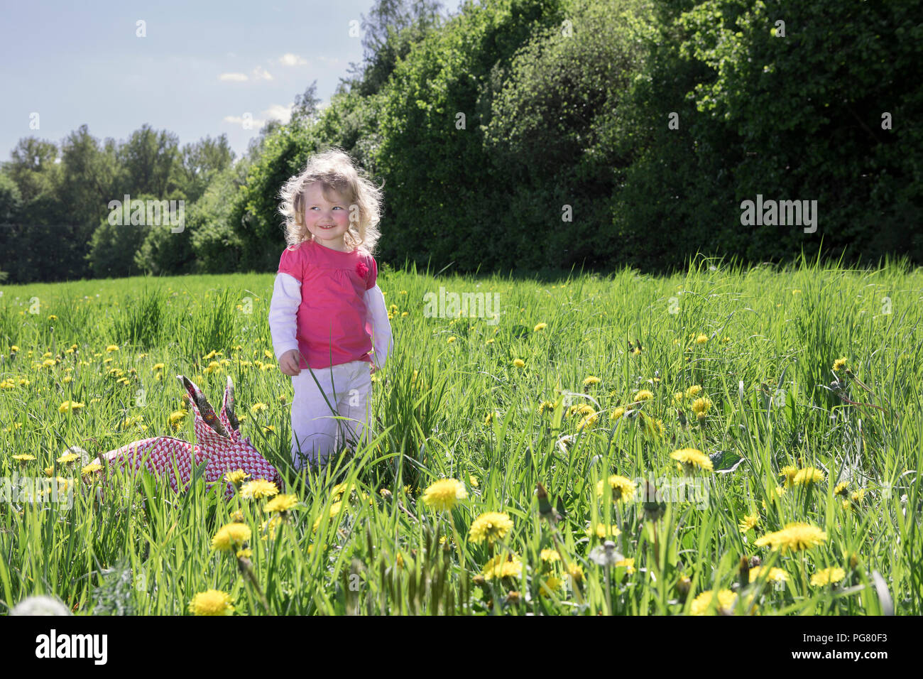 Origami Tiere Stockfotos Origami Tiere Bilder Alamy