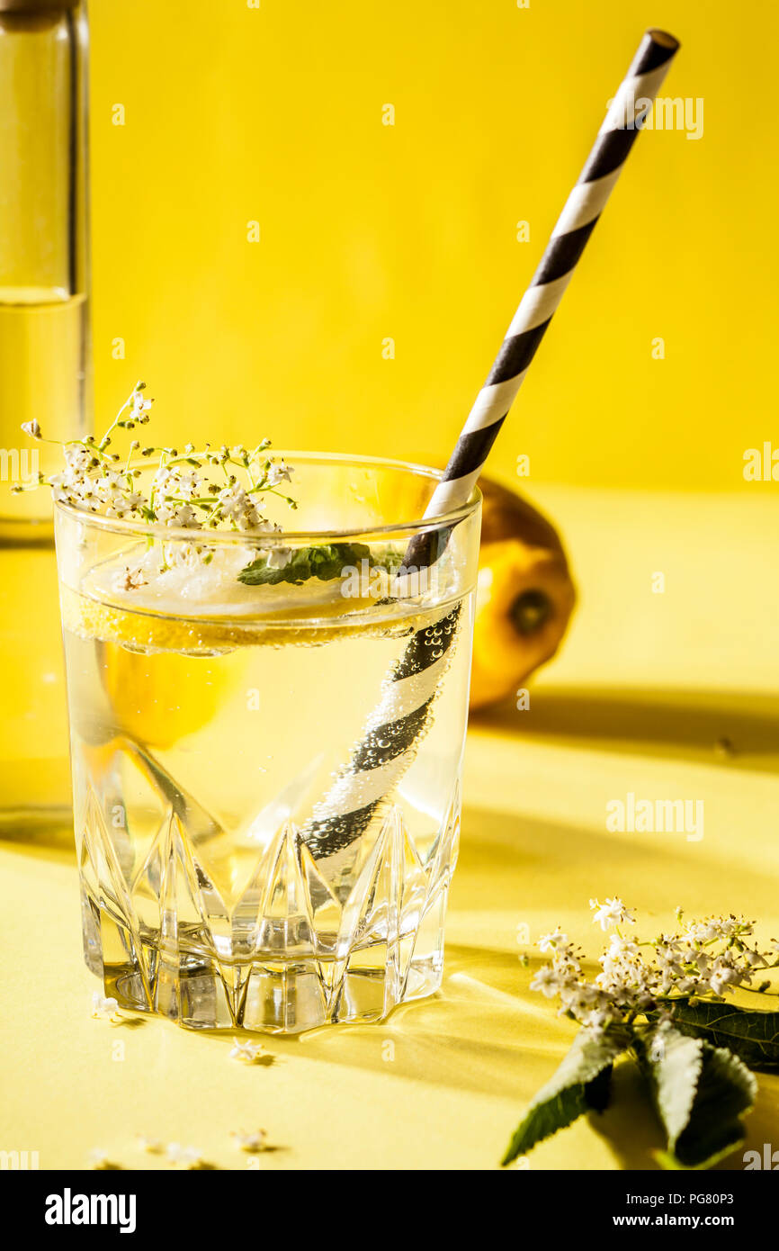 Glas hausgemachten Organische elder Limonade mit zitronenscheibe Stockfoto