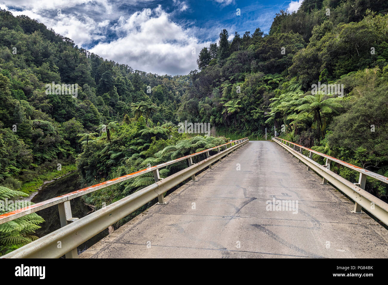 Neuseeland, Nordinsel, Taranaki, vergessene Welt Highway Stockfoto