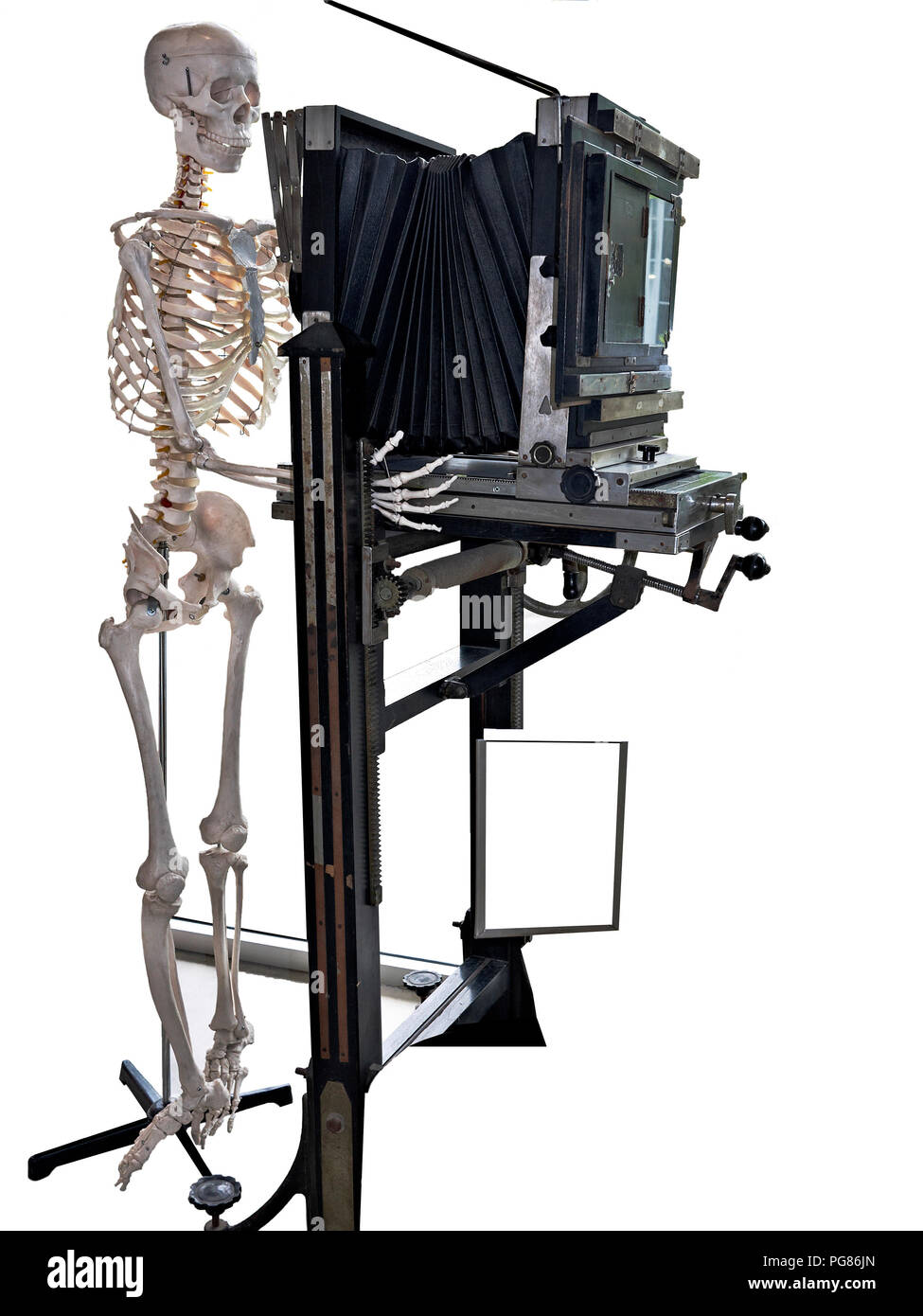 Menschliche Skelett und antike Ansicht Kamera. Konzept der erforderlichen Geduld eines großformatigen Fotografen. Lustiges Skelett Stockfoto