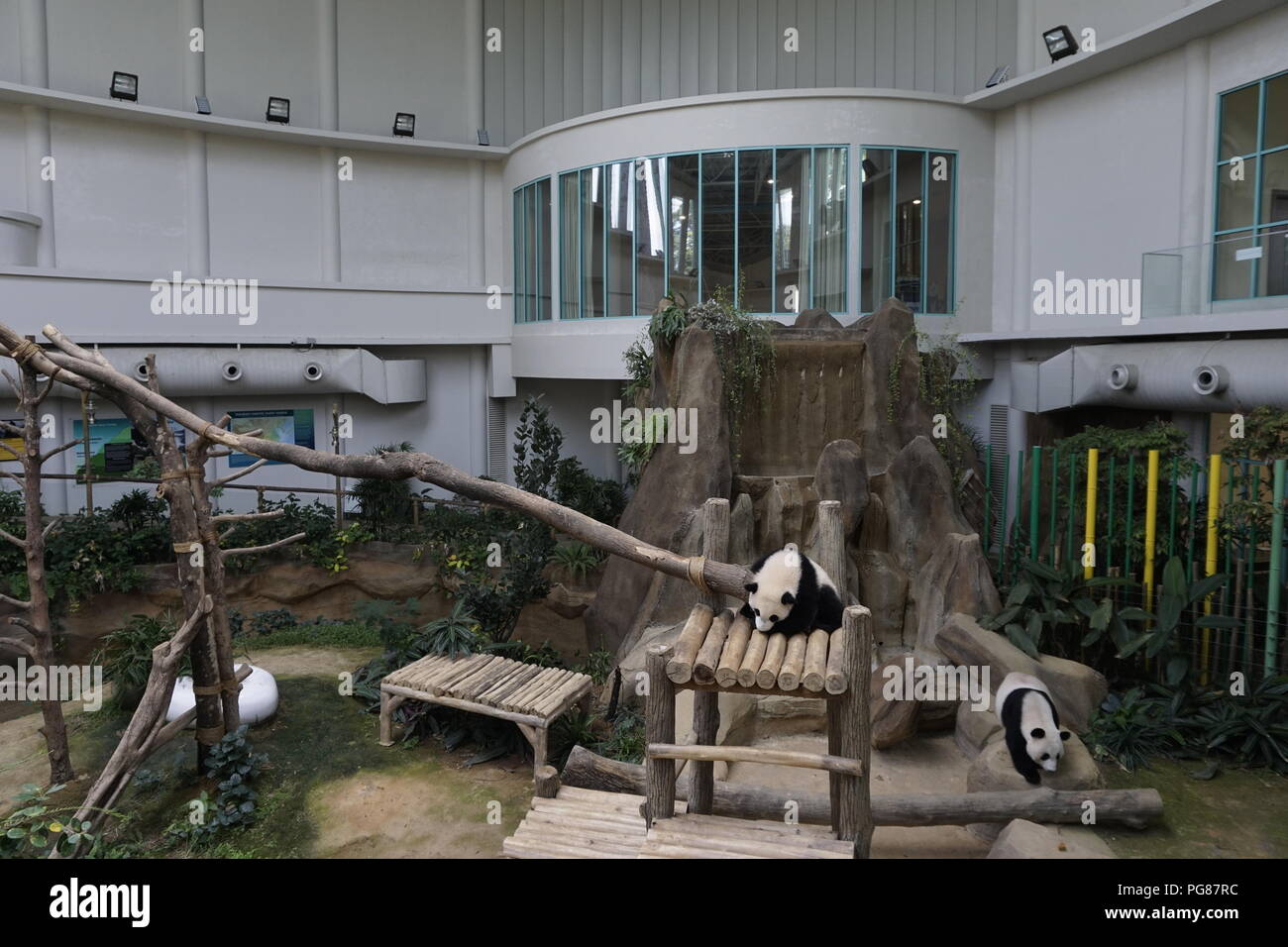 Panda Conservation Centre National Zoo, Malaysia Stockfoto