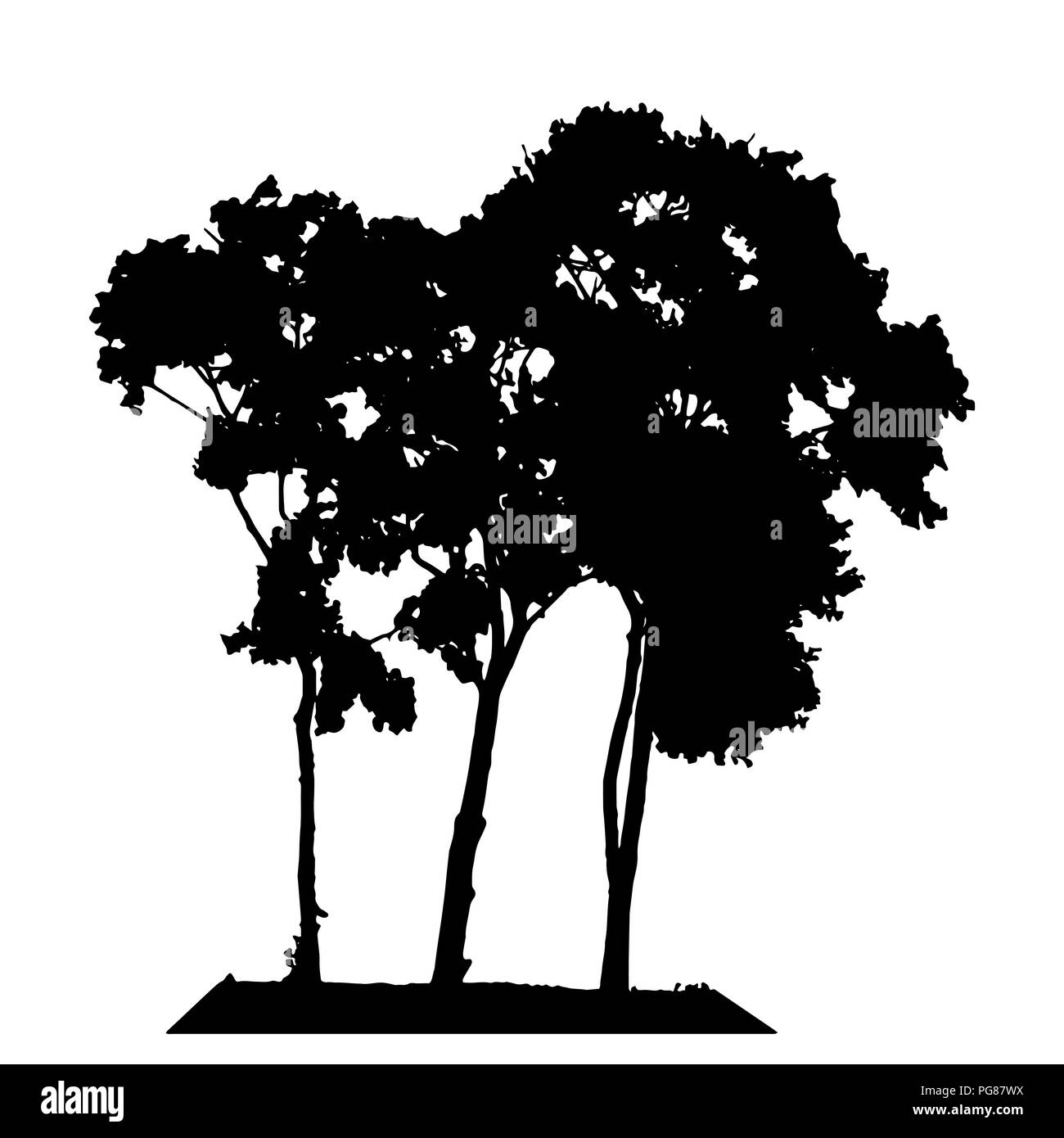 Baum Silhouette isoliert auf weißem Hintergrund. Vecrtor Abbildung. Stock Vektor