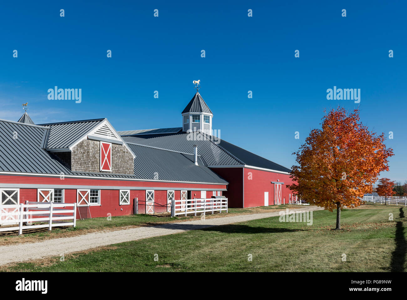 Pineland Farmen Equestrian Center Scheune, New Gloucester, Maine, USA. Stockfoto