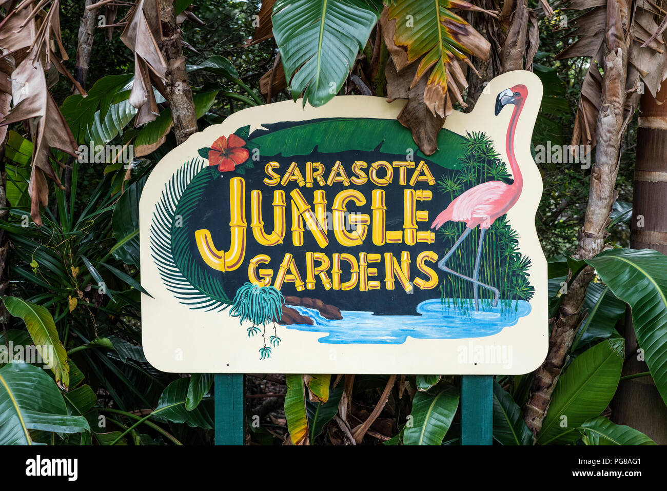 Sarasota Jungle Gardens Sarasota Florida Usa Stockfoto Bild
