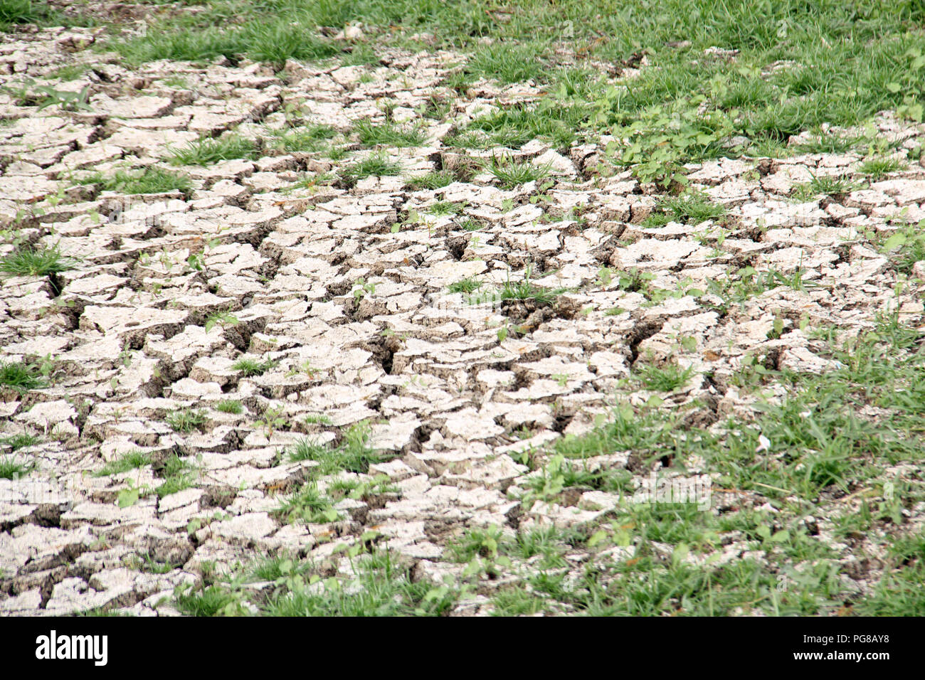 Trockene und rissige Erde Austrocknen in eine schwere Dürre Stockfoto