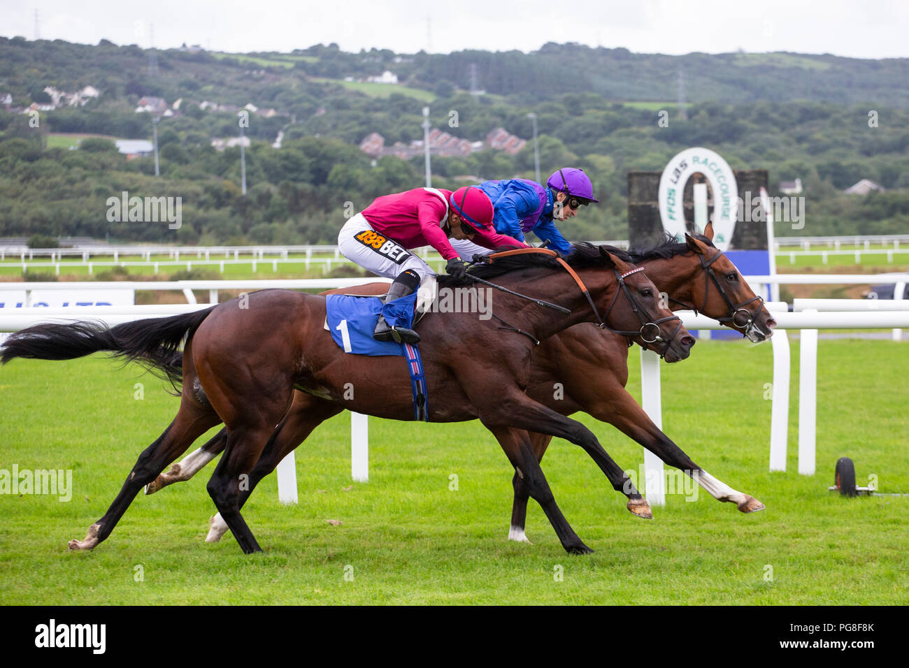 Ffos Las Pferderennbahn, Trimsaran, Wales, UK. Freitag 24. August 2018. (Palavecino jockey Nicky Mackay) (Seite) gewinnt den O'Brien & Partner/EBF Anfänger Stakes (Rennen 2) von Momkin (Jockey Silvestre De Sousa) Credit: gruffydd Thomas/Alamy leben Nachrichten Stockfoto