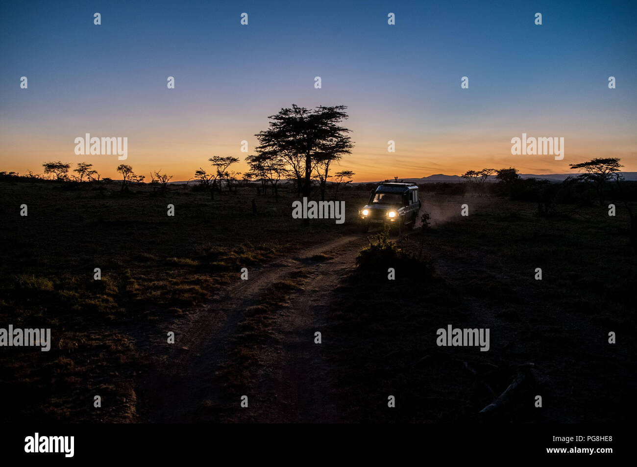 (180824) -- - MASAI MARA, Aug 24, 2018 (Xinhua) - Chinesische wildlife Naturschützer Zhou Qiang und eine lokale warden weg früh am Morgen setzen Sie die Ol Kinyei conservancy in Masai Mara, Kenia, 7. Juli 2018 zu überprüfen. Der Gründer und Vorsitzende von Mara Conservation Fund (MCF) Zhou Qiang, einem 45 Jahre alten Chinesischen, hat hervorragende Wildlife Conservation Projekte in die Masai Mara Ökosystem. Ol Kinyei ist unter den Naturschutzgebieten profitieren von seinen Aktivitäten. Um ihn herum, er hat drei Löwen Nachweis Boas verhindern, dass die Tierwelt in Konflikt mit den benachbarten Gemeinden gebaut. Er war offici Stockfoto