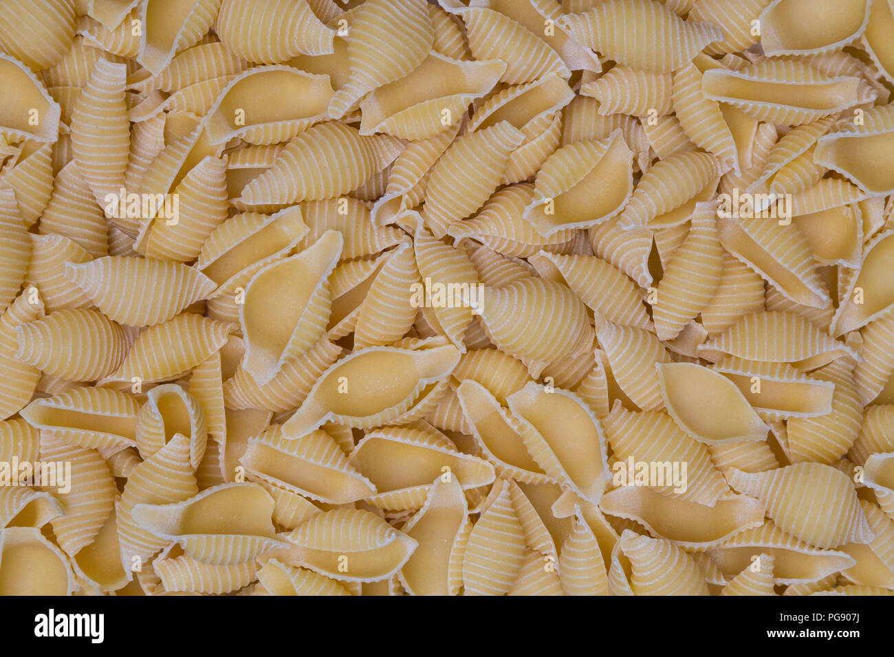 Conchiglione Pasta als Textur Hintergrund. Stockfoto