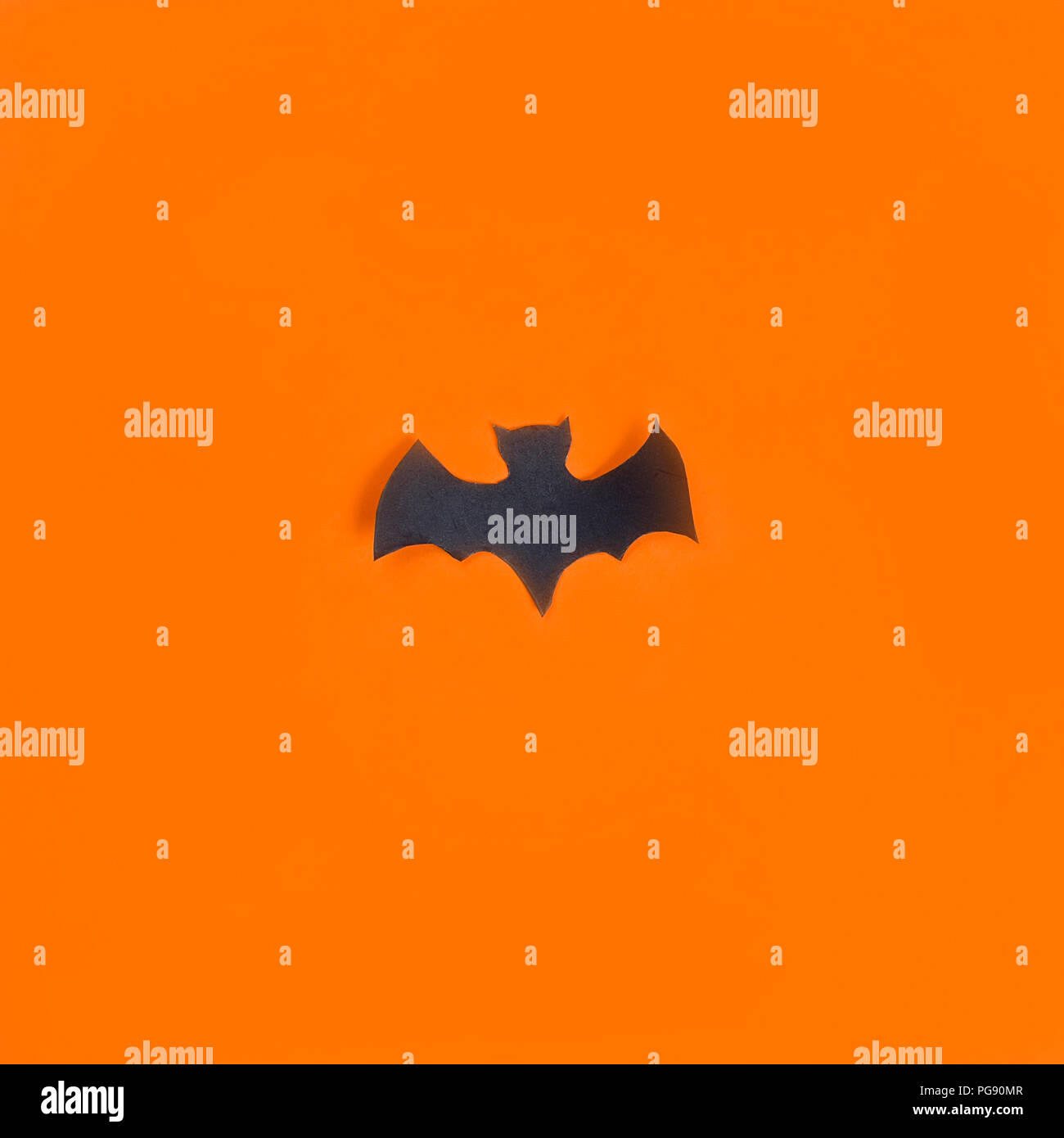 Schwarze Fledermaus auf orangem Hintergrund. Happy Halloween! Stockfoto