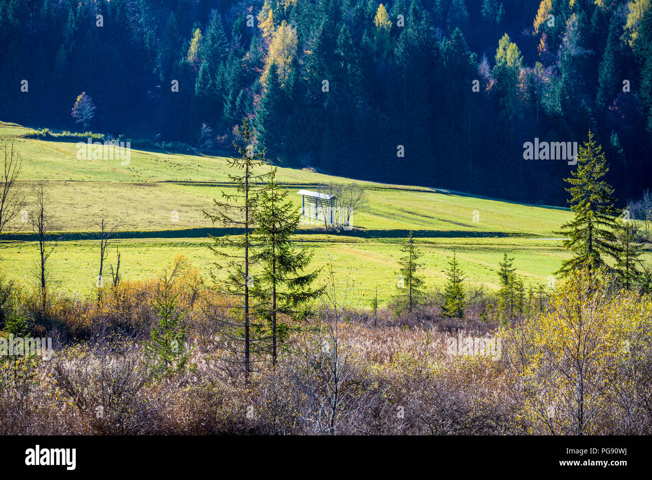 Ländliche Landschaft mit Blick über Scheuern zu üppigen grünen Ackerland und immergrünen Wäldern in einer malerischen Natur Hintergrund. Stockfoto