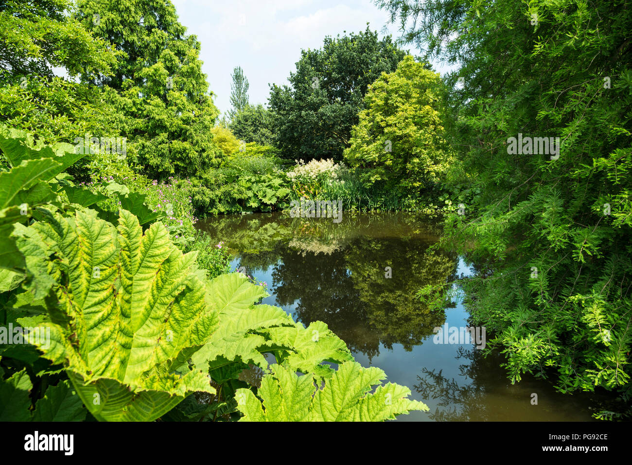 Rhs hyde hall Fotos und Bildmaterial in hoher Auflösung Alamy