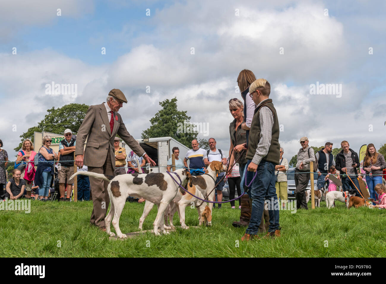 Wettbewerber, die ihre Hunde an der Hawkshead zeigen in Cumbria beurteilt Stockfoto