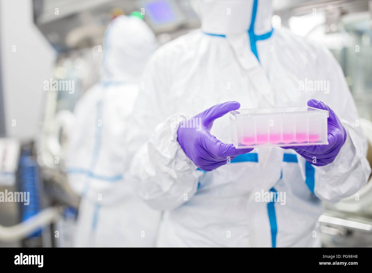 Nahaufnahme einer Laborantin, die eine zell-basierte Tests im Labor, dass Ingenieure menschlichen Geweben zur Implantation. Solche Implantate gehören Knochen und Haut. Stockfoto