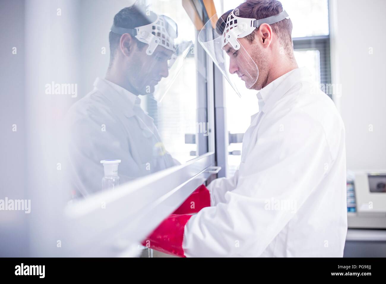 Labortechniker mit einem Laminardurchflußmesser mit Haube, dicke Handschuhe und ein Gesichtsschutz bei der Arbeit mit gefährlichen Chemikalien. Stockfoto