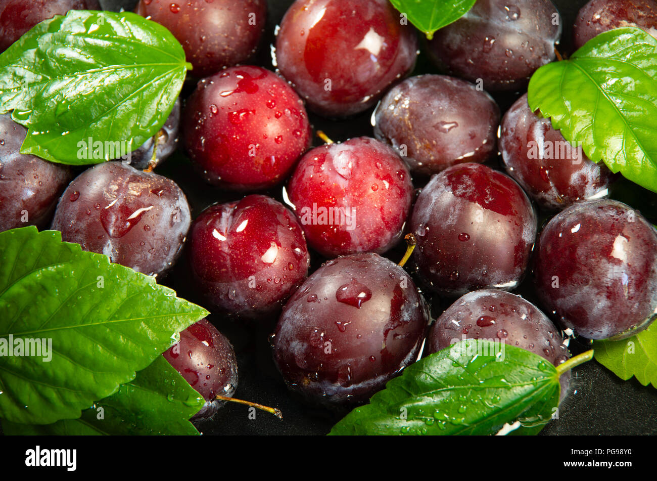 Frische saftige Pflaumen in Wasser zum Waschen close-up auf einem dunklen Hintergrund Stockfoto