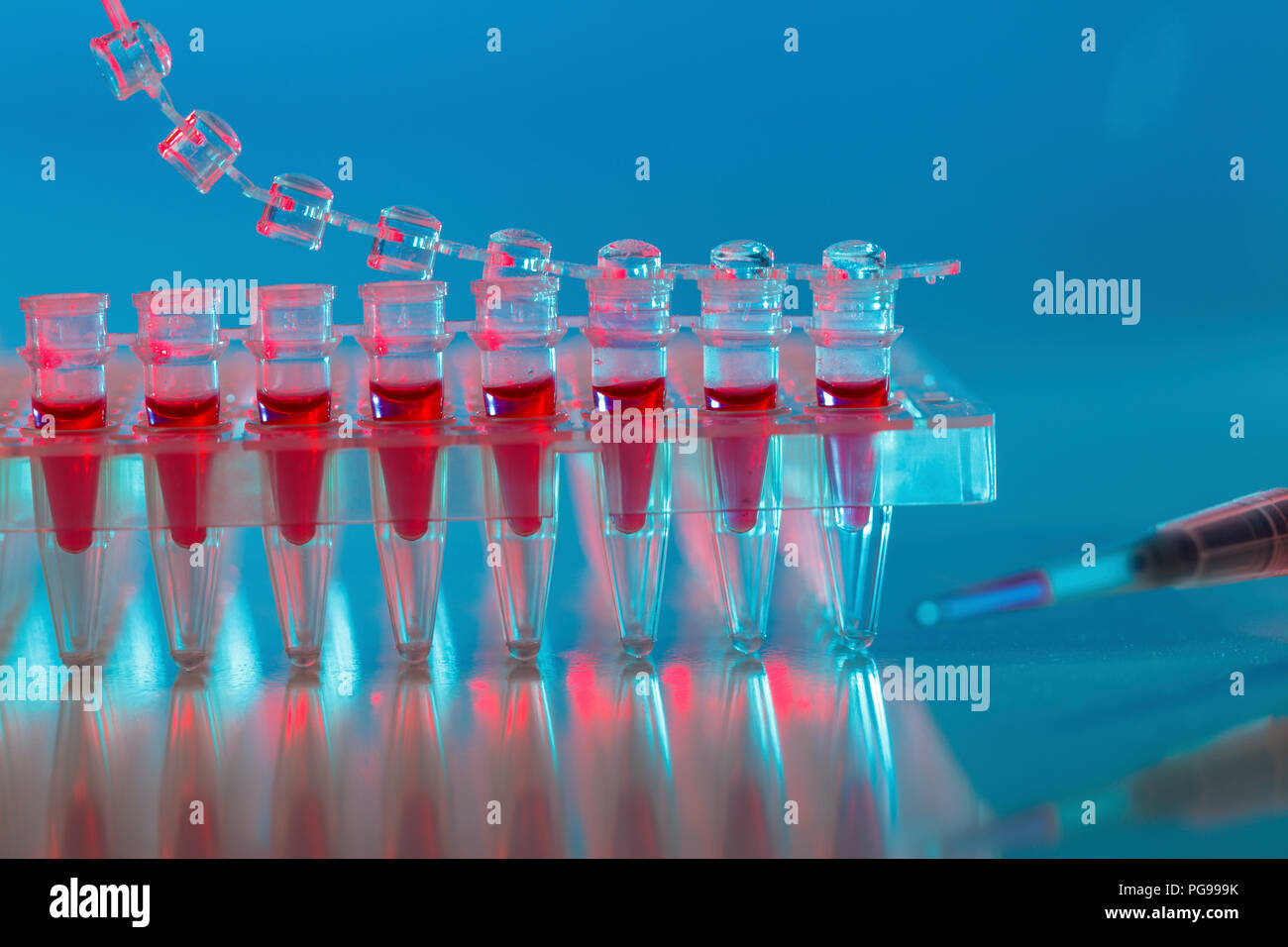 Proben für PCR-Röhrchen. Stockfoto