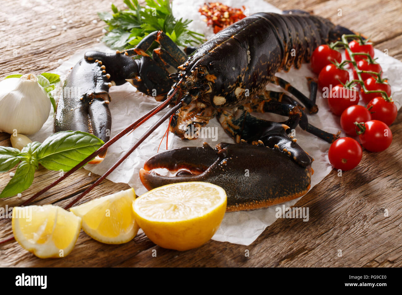 Empfindliche rohe Nahrung: Hummer mit Gemüse und Gewürze zum Kochen close-up auf dem Tisch. Horizontale Stockfoto