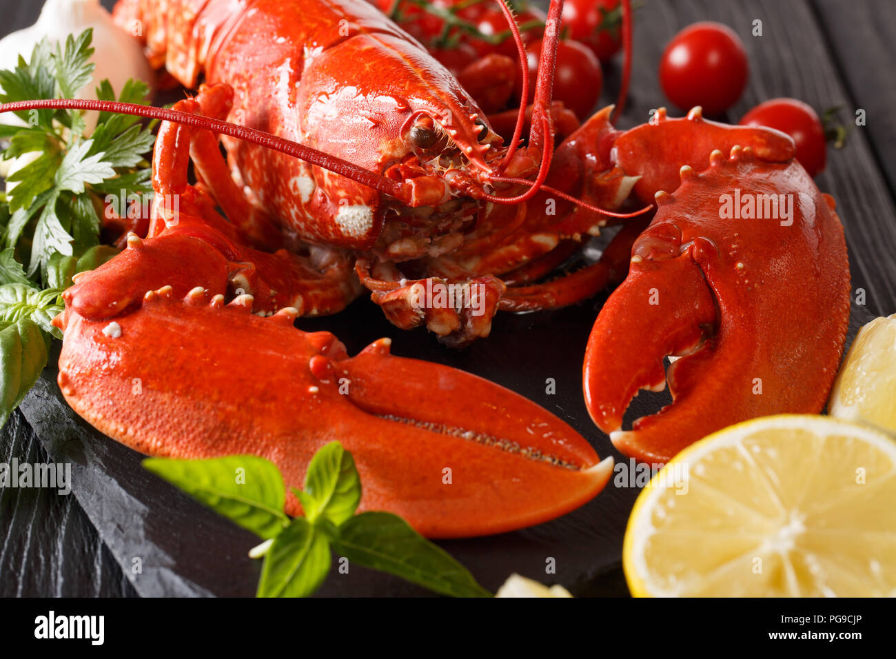 Schöne Meeresfrüchte gekochten Hummer Makro mit Zitrone und Kräutern auf einem schwarzen Hintergrund. Horizontale Stockfoto