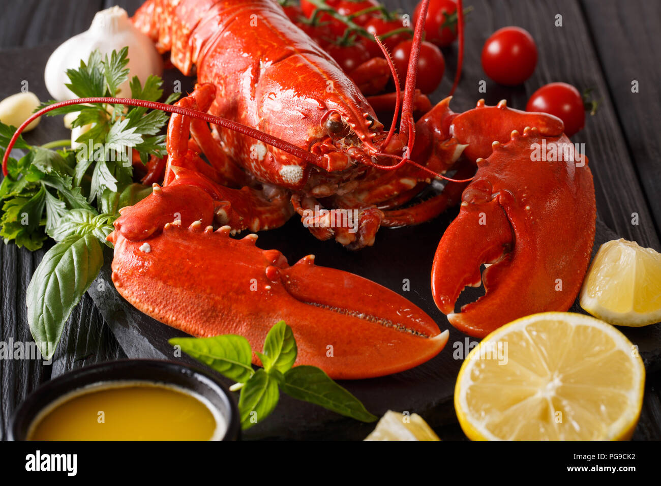 Gekochten Hummer close-up mit Zitrone, frischen Tomaten und Kräutern auf einem schwarzen Hintergrund. Horizontale Stockfoto