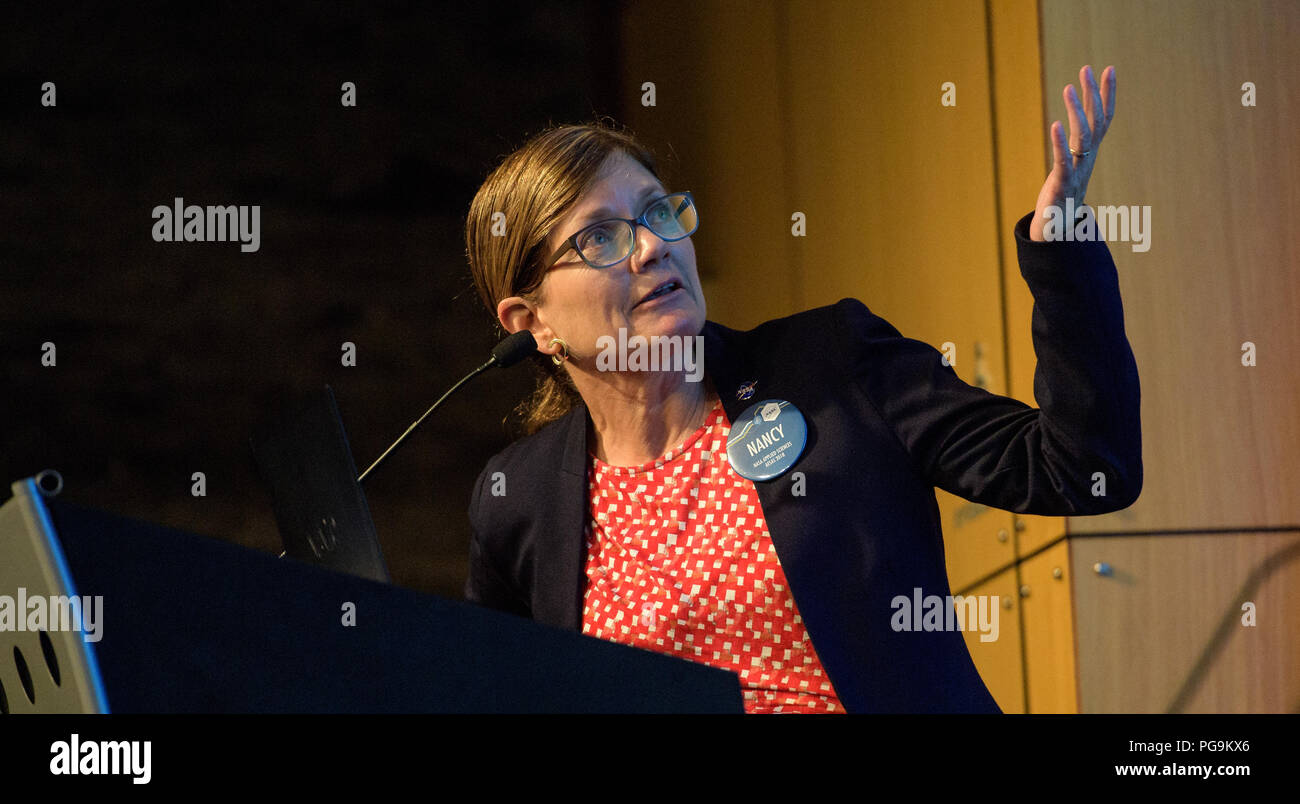 Capacity Building Program Manager für Angewandte Wissenschaften Programm der NASA (Earth Science Division) Nancy Searby spricht während der 2018 Jährliche Earth Science Applications Showcase, Mittwoch, 1. August 2018 bei der NASA Hauptquartier in Washington. Jeden Sommer Studenten und Young Professionals aus dem Nationalen Programm der NASA Angewandte Wissenschaften' entwickeln und an die NASA Hauptquartier und ihre Forschungsprojekte vorstellen. Entwickeln ist ein Ausbildungs- und Entwicklungsprogramm, wo die Schüler auf der Erde Wissenschaft Forschung Projekte arbeiten, die durch Wissenschaft Berater von NASA und Partner Agenturen betreut, und die Forschung Ergebnisse zu lokalen c Stockfoto