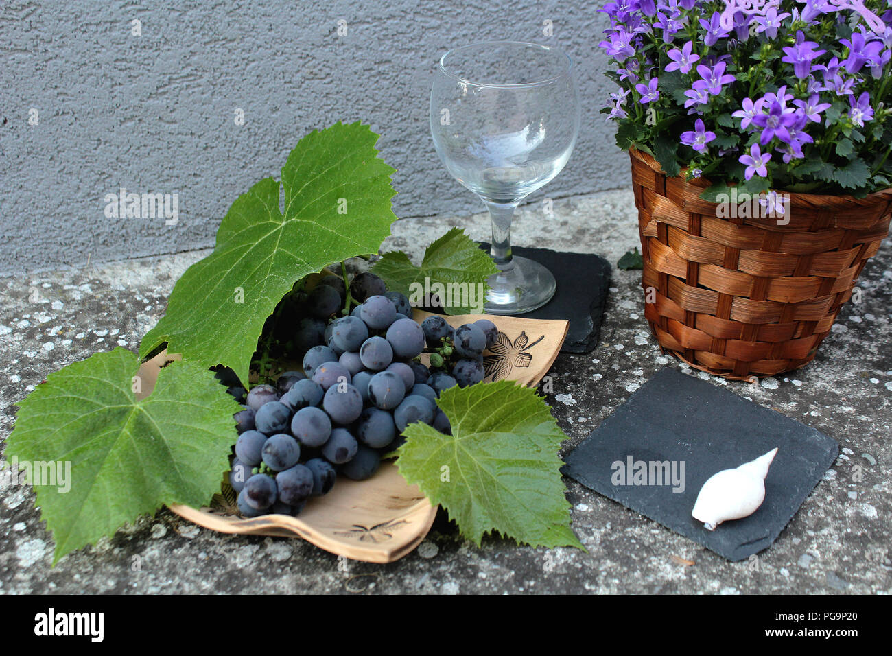 Immer noch Leben - blaue Trauben mit lila Blüten, grüne Blätter und leeren Glas Wein Stockfoto