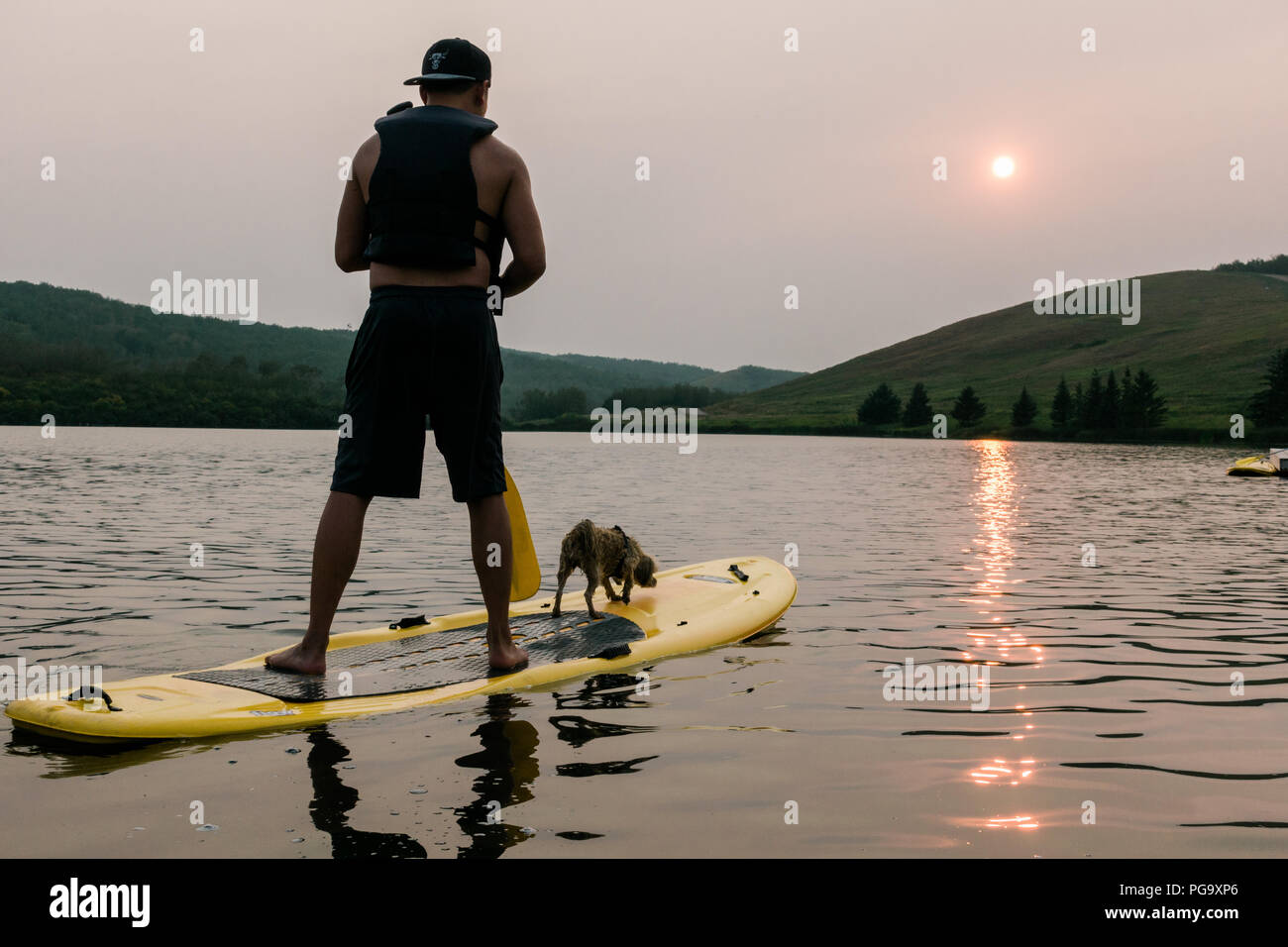 Zwei Teenager helfen, den Hund aus dem Paddle Board. Stockfoto