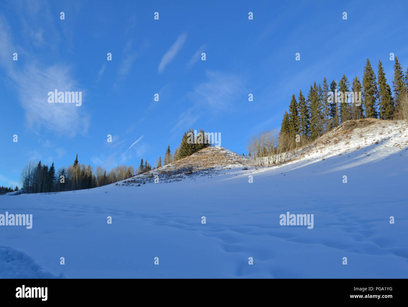 Spuren durch den frisch gefallenen Schnee in Ghost River Stockfoto