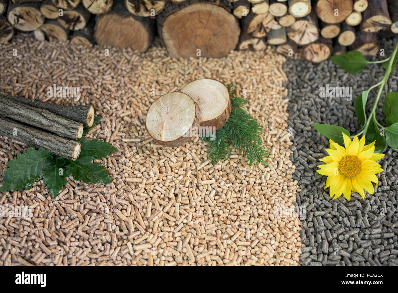 Drei Arten von Pellets und Werkstoffe - Eiche, Sonnenblumen, Kiefer, Buche Stockfoto