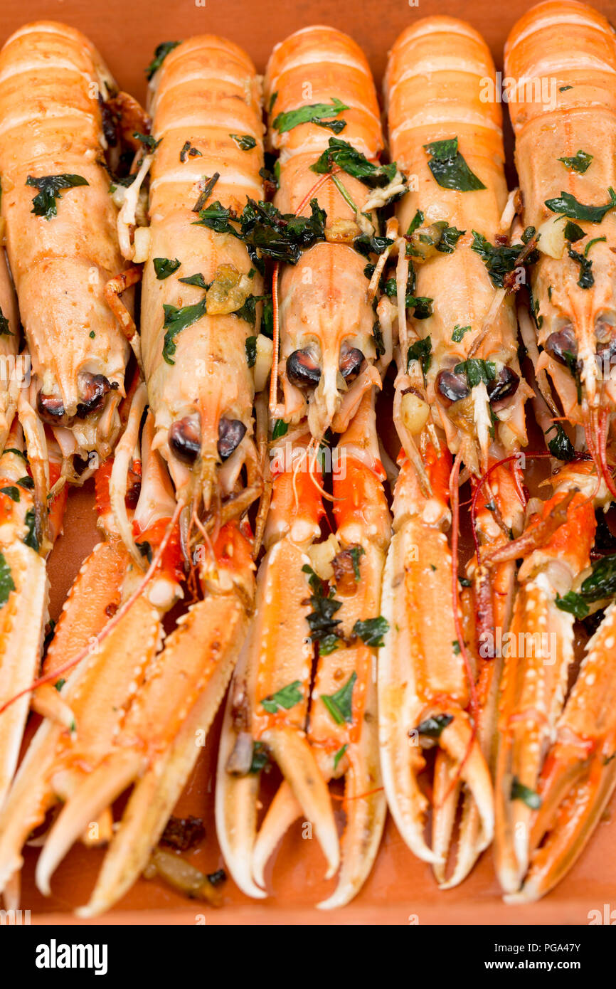 Schottischen Langustinen, Nephrops norvegicus, gekauft von einem Supermarkt und auf dem Teller fotografiert nach dem Braten in Butter, Knoblauch und Petersilie. Der lang Stockfoto